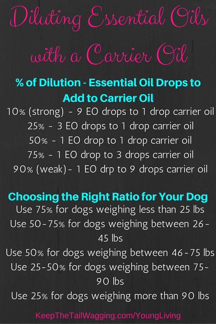 9 Things You Should Know About Essential Oils for Dogs Keep the Tail