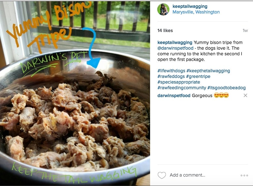 27 Amazing Facts About Darwin’s Pet Raw Dog Food