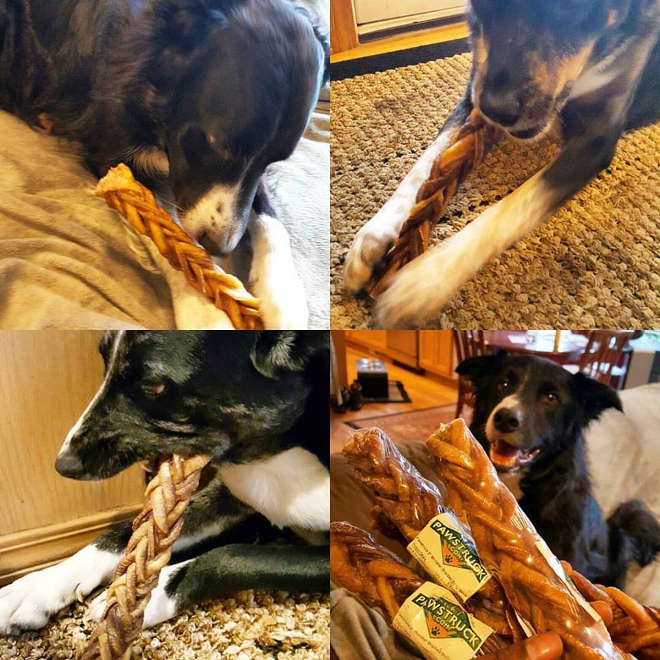 monster bully sticks