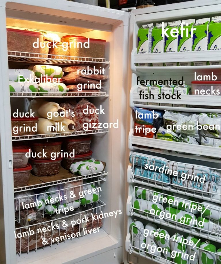 How Long Raw Dog Food Lasts in the Freezer Keep the Tail Wagging