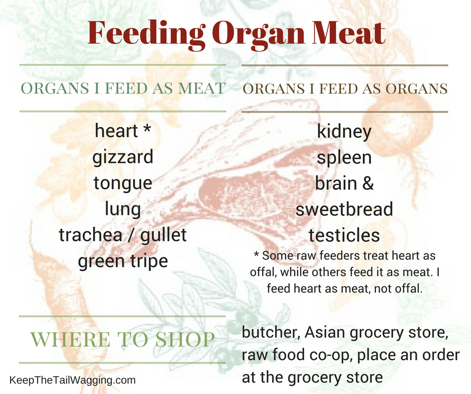 Is Organ Meat Good For Dogs