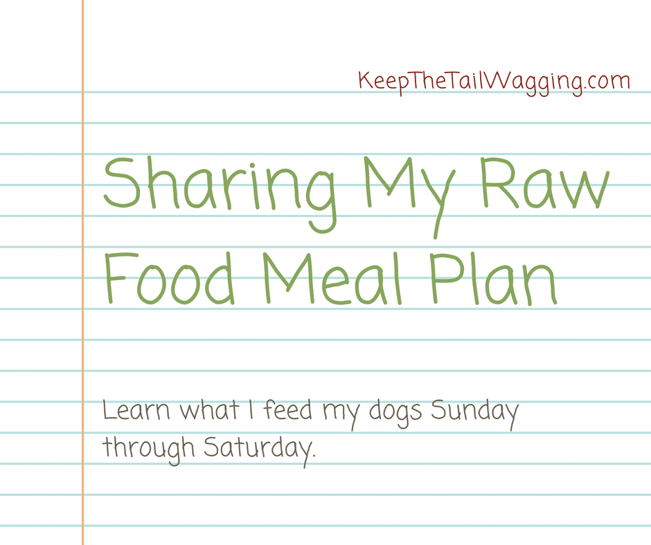 raw diet plan for mastiffs