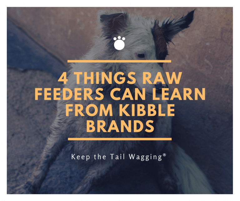 4 Things Raw Feeders Can Learn from Kibble Brands Keep the Tail Wagging