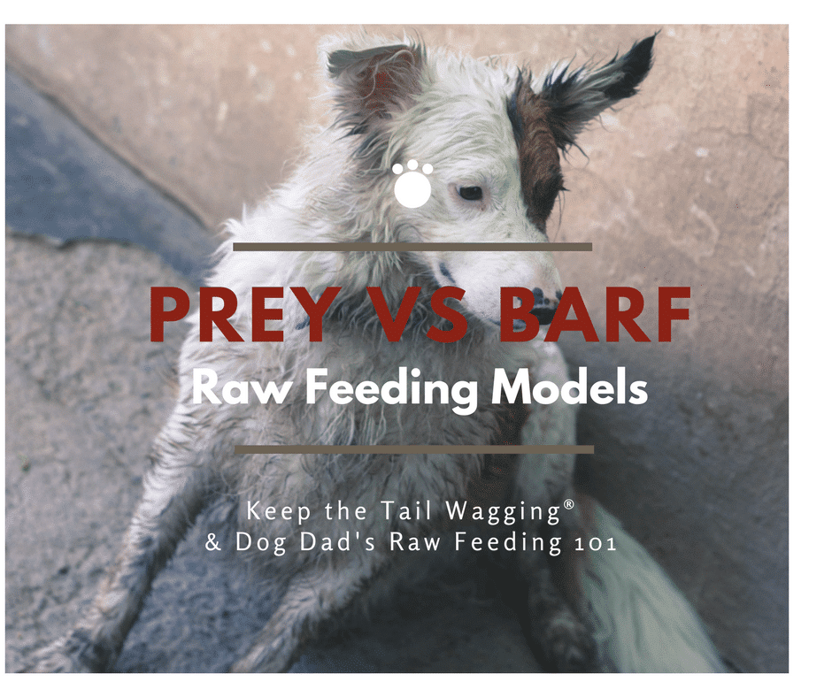 Raw Feeder to Raw Feeder Raw Feeding Models Keep the Tail Wagging