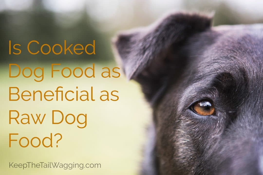 Is Cooked Dog Food as Beneficial as Raw Dog Food? Keep the Tail Wagging Raw Feeder Life