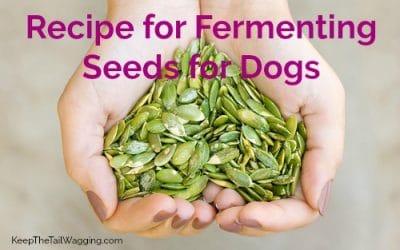 Recipe for Fermenting Seeds for Dogs