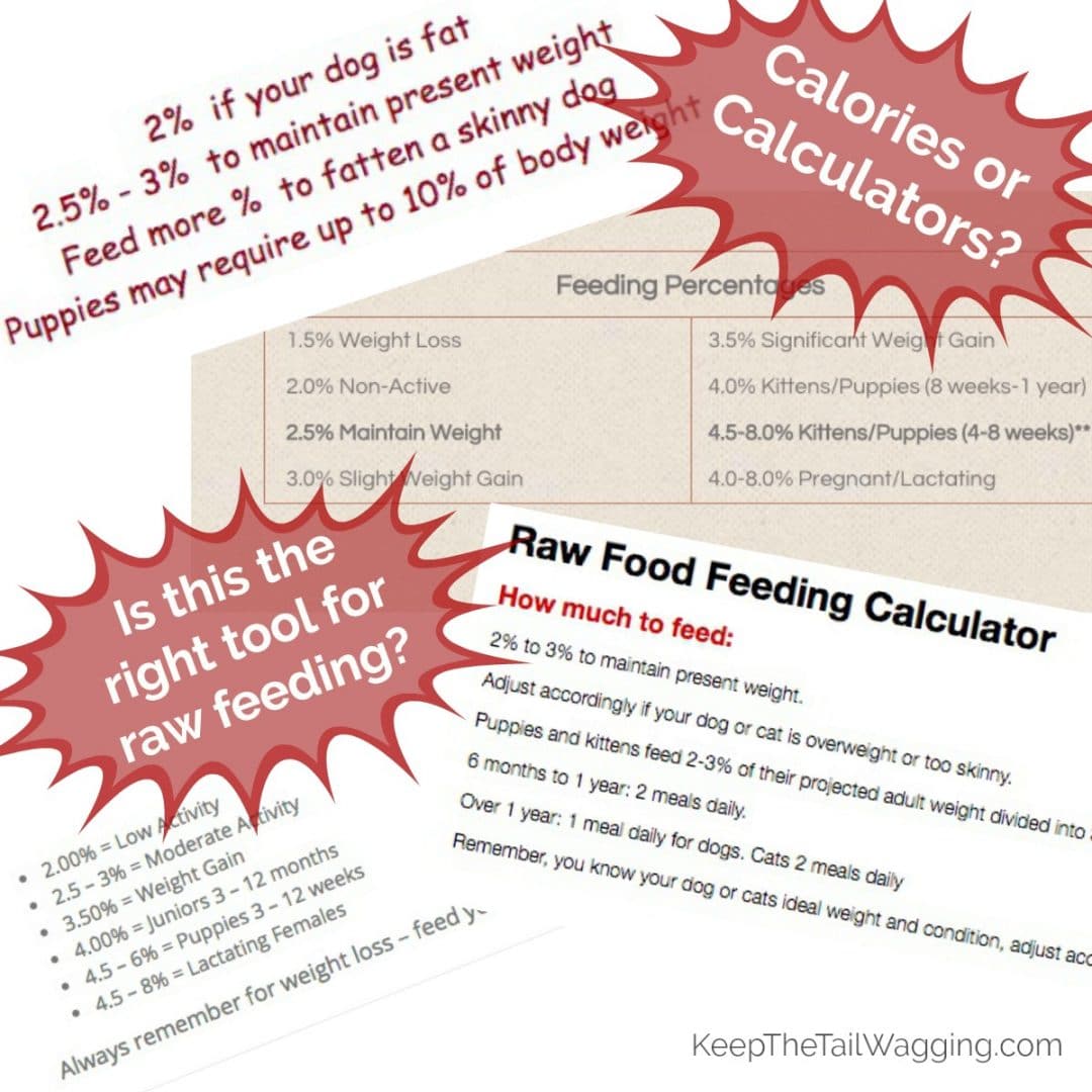The Myth of the Raw Feeding Calculator Keep the Tail Wagging Raw