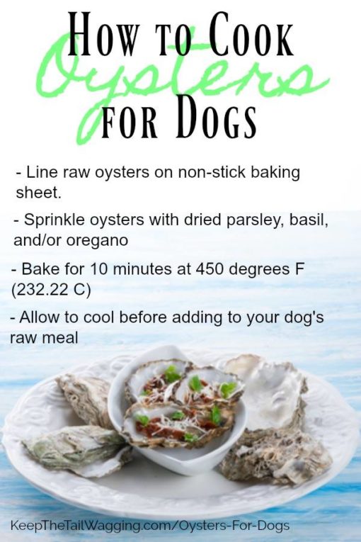 How to Cook Oysters for Dogs Keep the Tail Wagging Raw Feeder Life