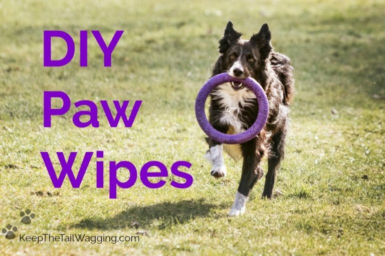 DIY Pet Wipes for Dogs Keep the Tail Wagging Raw Feeder Life