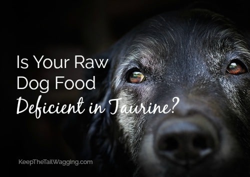taurine dogs