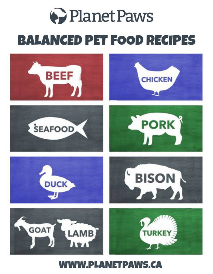 Paws Balanced Raw Dog Food Recipes Keep the Tail Wagging