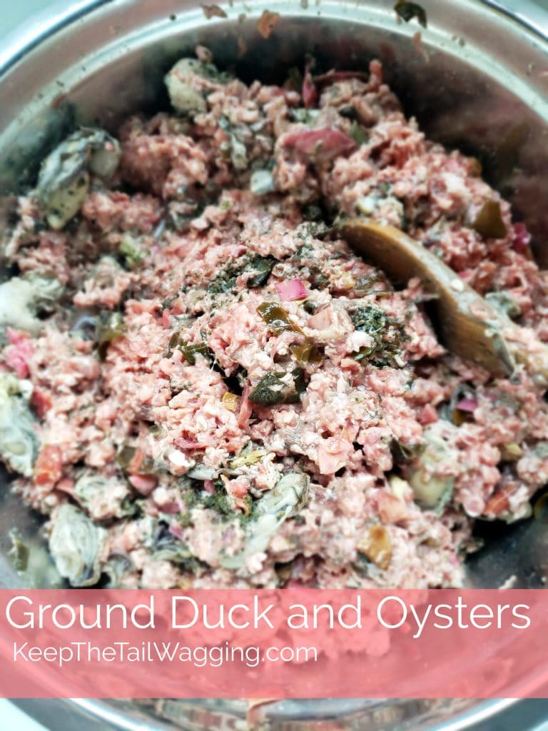 Easy Raw Dog Food Recipe Duck and Oysters Keep the Tail Wagging Raw