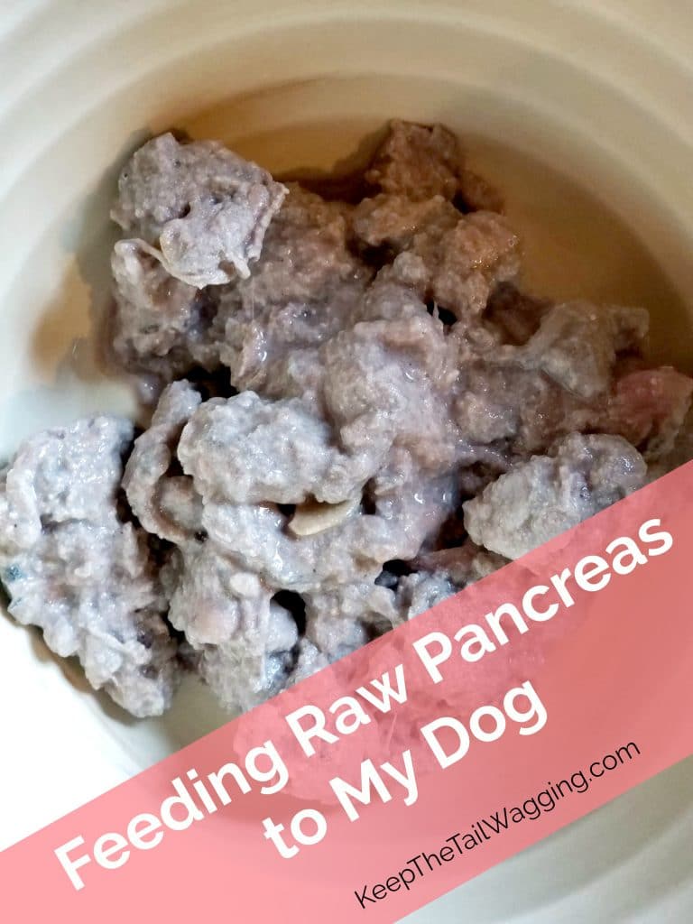 Feeding Raw Pancreas to My Dog Keep the Tail Wagging