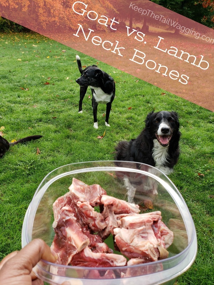 raw lamb for dogs