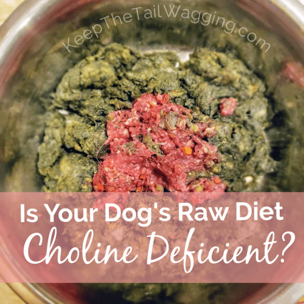 choline for dogs