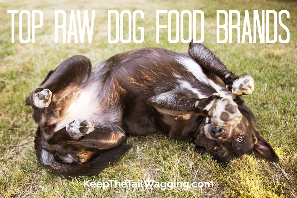 Top Raw Dog Food Brands [2019] Keep the Tail Wagging Raw Feeder Life