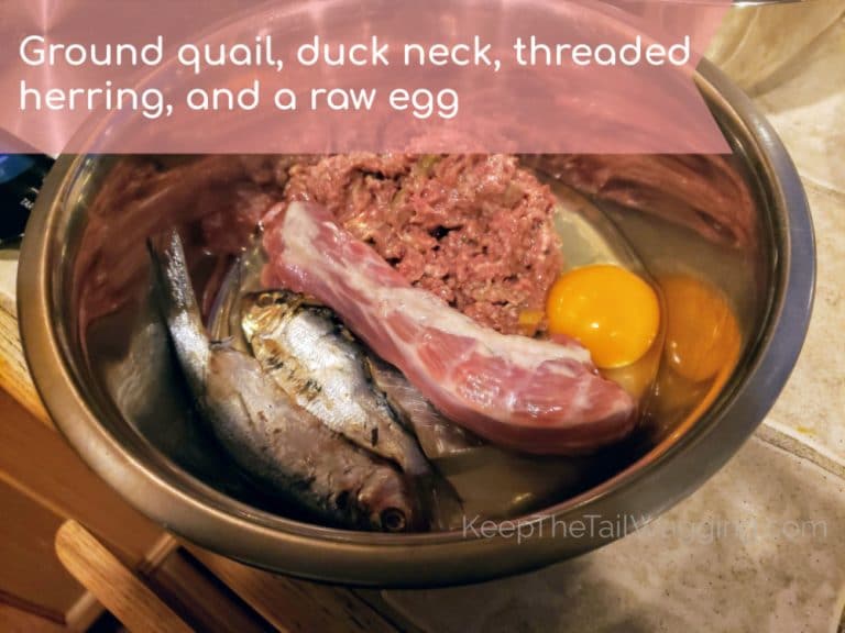 Easy Raw Dog Food Recipe with Quail and Threaded Herring