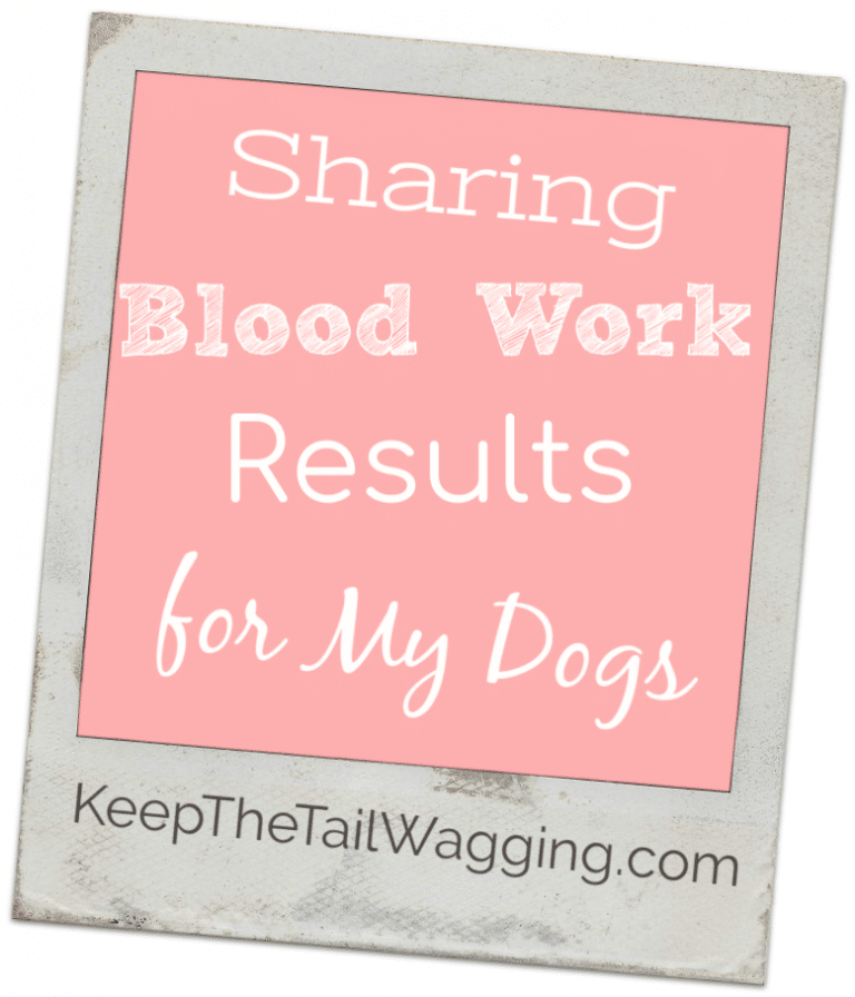 Sharing My Dog's Blood Work [201819] Keep the Tail Wagging