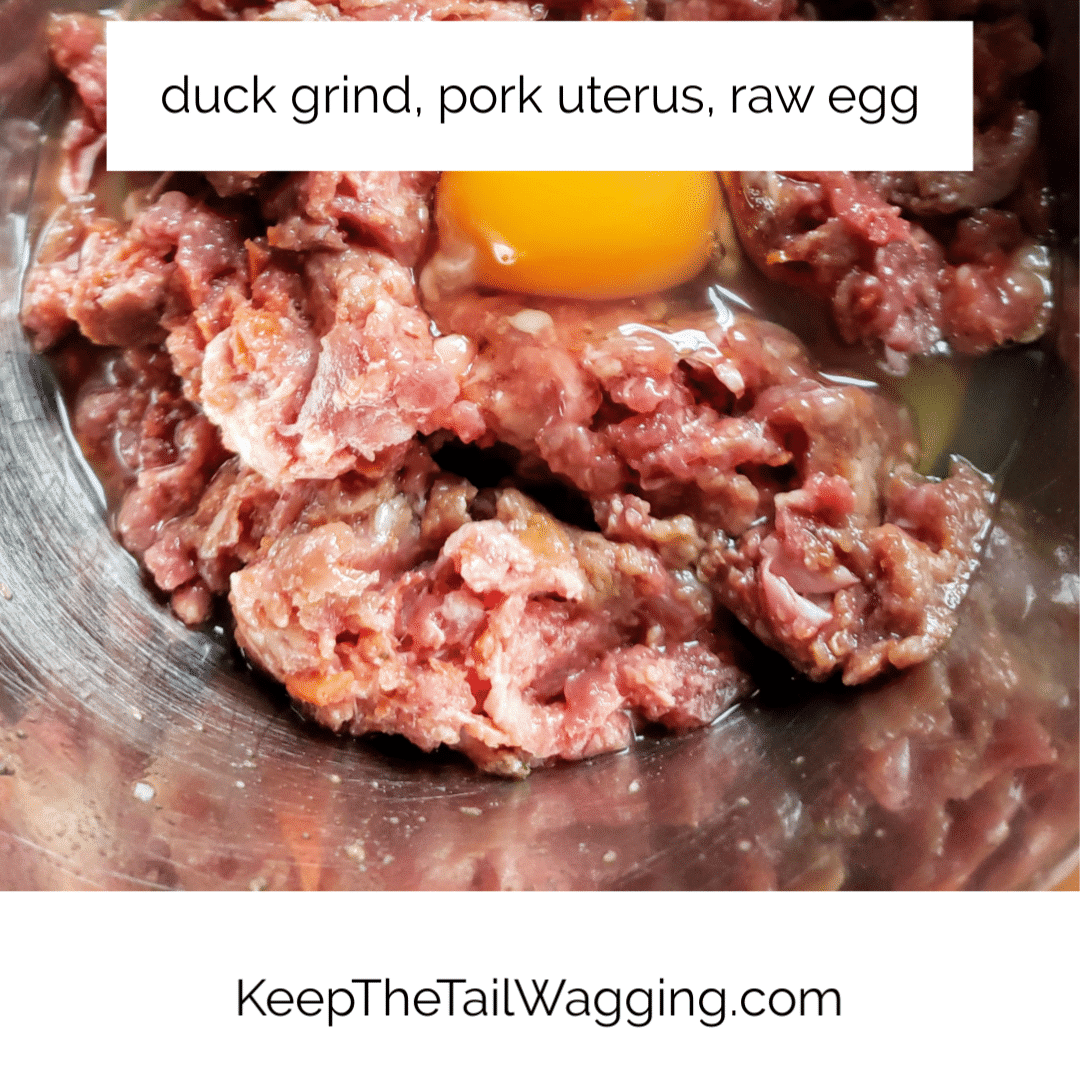 Easy Raw Food Recipe, Duck with Pork Uterus Keep the Tail Wagging Raw Feeder Life