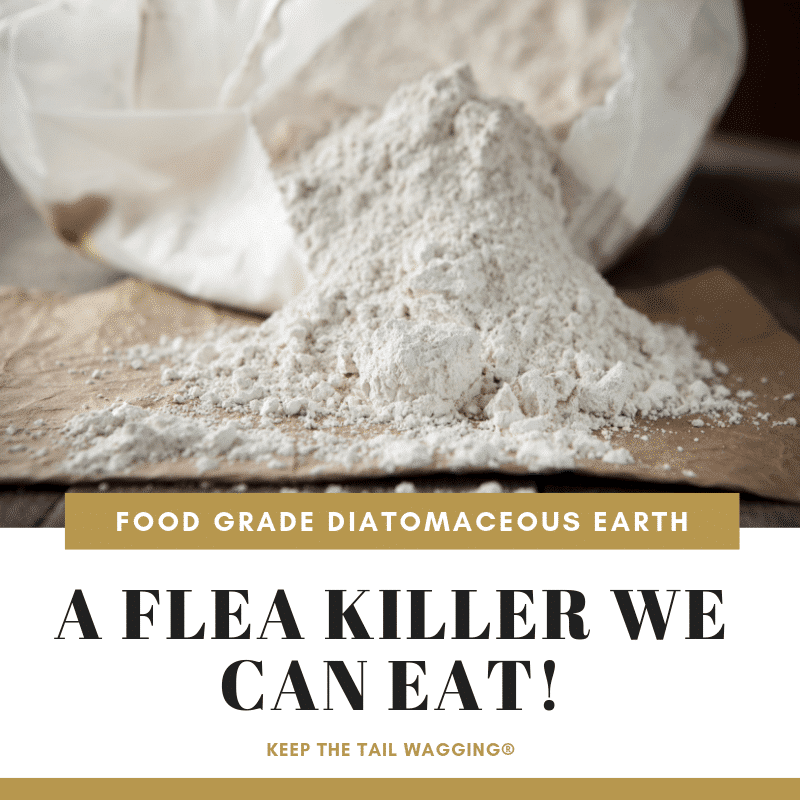 Food Grade Diatomaceous Earth, Flea Killer We Can Eat?