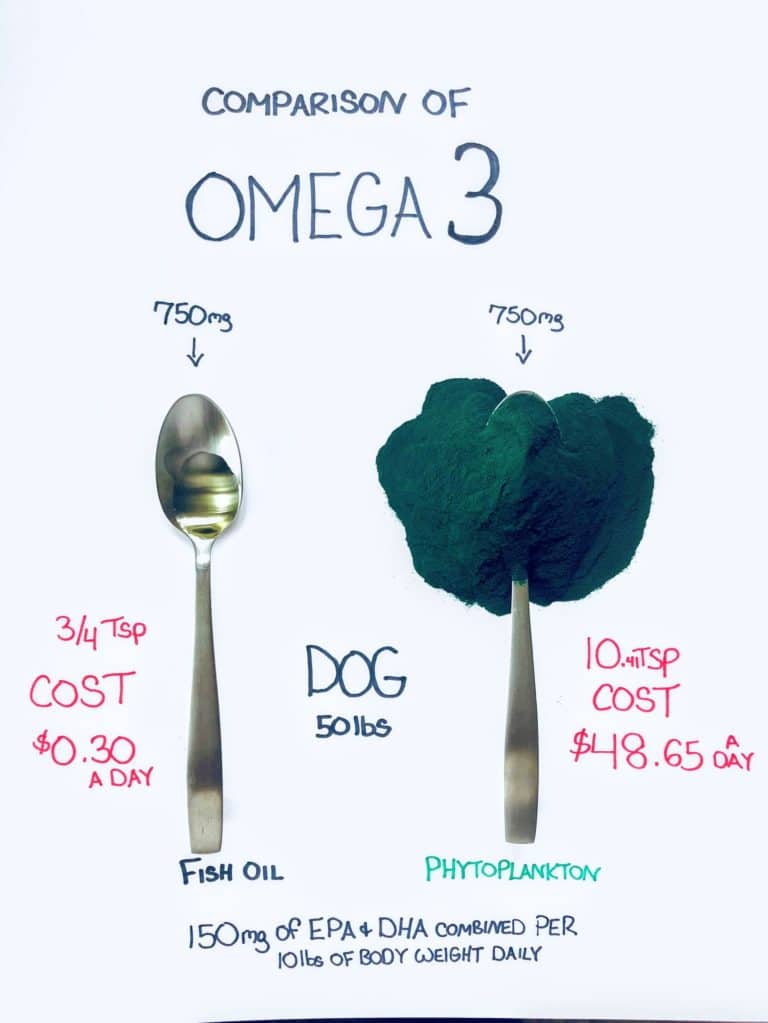 Is Phytoplankton an Expensive Alternative to Fish Oil for Dogs? Keep
