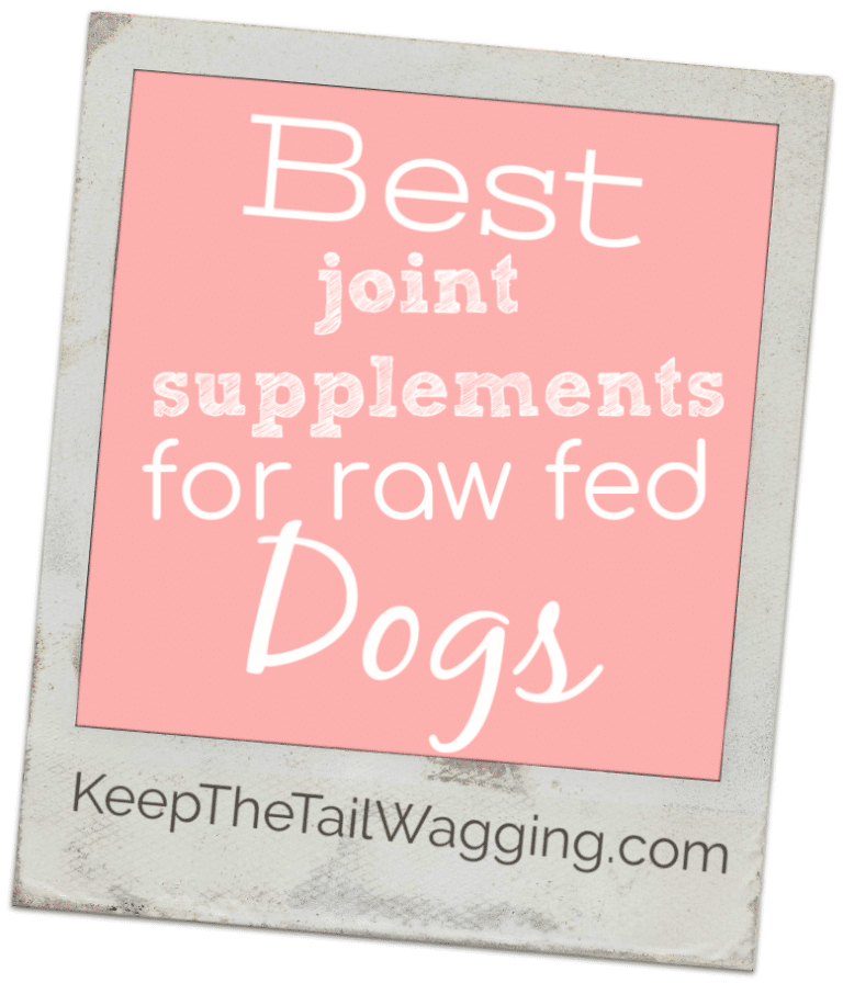 Best Joint Supplements for Raw Fed Dogs Keep the Tail Wagging
