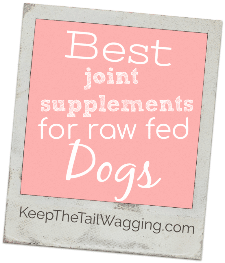 Best Joint Supplements for Raw Fed Dogs Keep the Tail Wagging