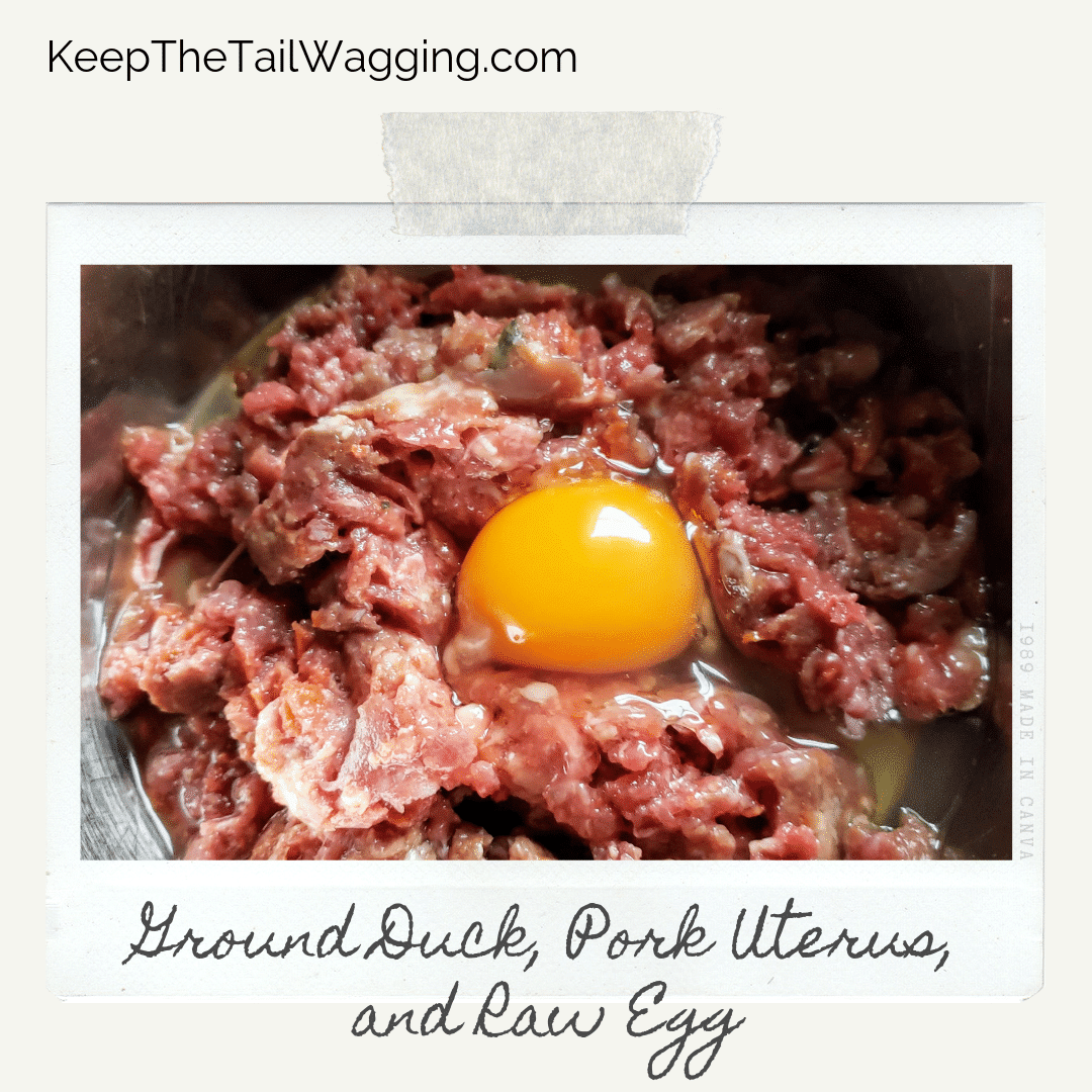 Easy Raw Dog Food Recipe with Ground Duck, Pork Uterus, and Duck Feet