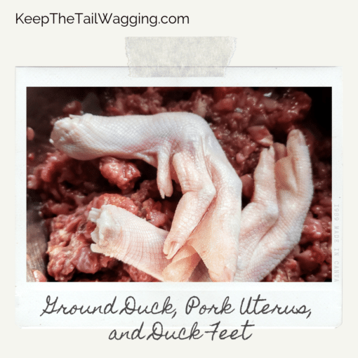 Easy Raw Dog Food Recipe with Ground Duck, Pork Uterus, and Duck Feet