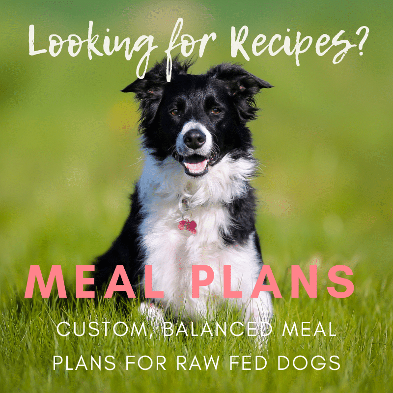 Raw Food CoOps Near Me Keep the Tail Wagging