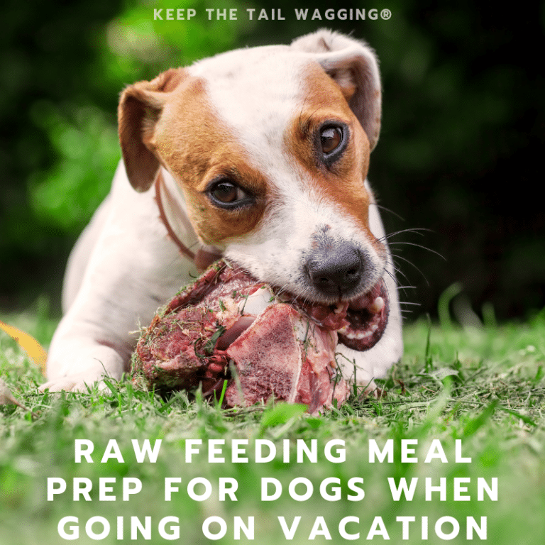 Raw Feeding Meal Prep for Dogs When Going on Vacation Keep the Tail