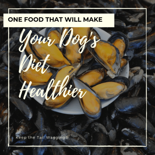 OneFoodthatWillMakeYourDogsDietHealthier Keep the Tail Wagging