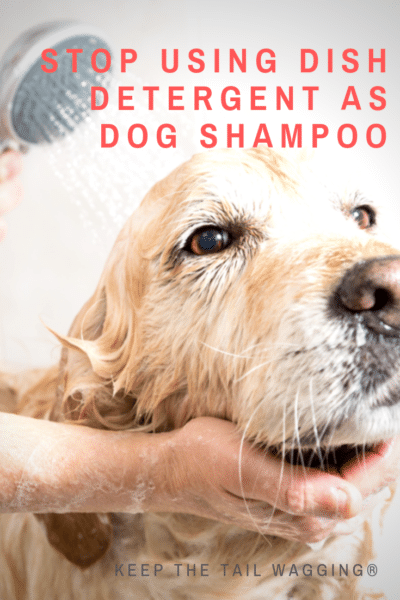 dawn dog shampoo