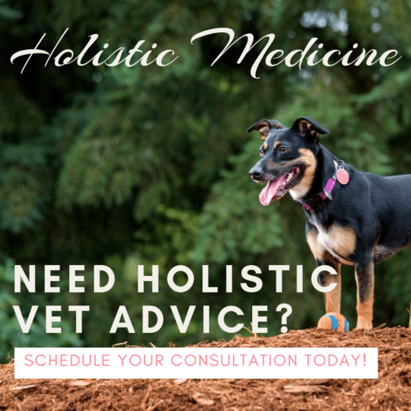 Raw Food CoOps Near Me Keep the Tail Wagging