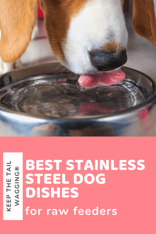 Best Stainless Steel Dog Dishes for Raw Feeders