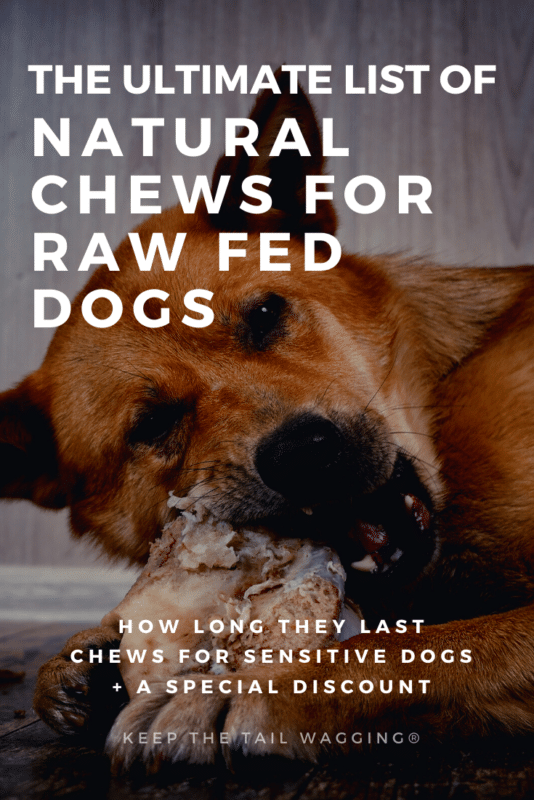 Best Natural Chews for My Dogs & How Long Each Lasts
