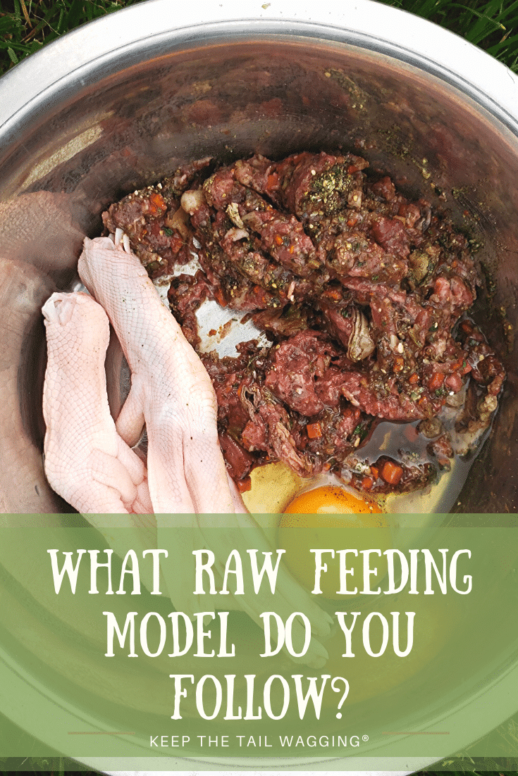 raw feeding plus