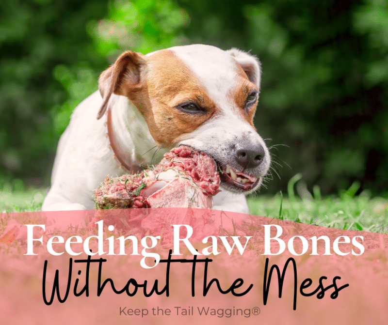BoneAppetite Which Raw Meaty Bone Is Right For Your Pet? Iron Will