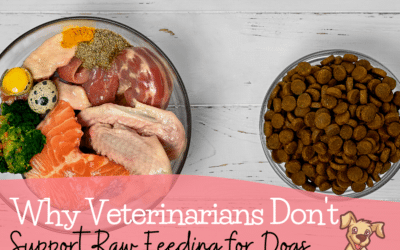 Reasons Why Veterinarians Don't Support Raw Feeding for Dogs