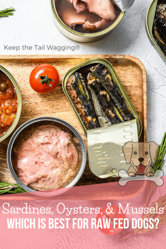 Sardines, Mussels & Oysters, Which is Best for Raw Fed Dogs?