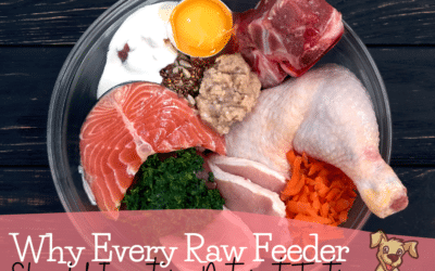5 Reasons Every Raw Feeder Should Invest in Nutrient Testing