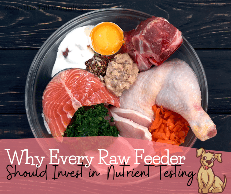 As a raw feeder, I've chosen to take the lead when it comes to my dogs' diet and a part of my job is to make sure I'm feeding a nutritious diet. I do this through research, feeding a BARF diet, and balancing over time.

I also invest in nutrient testing.

Learn more in this blog post.