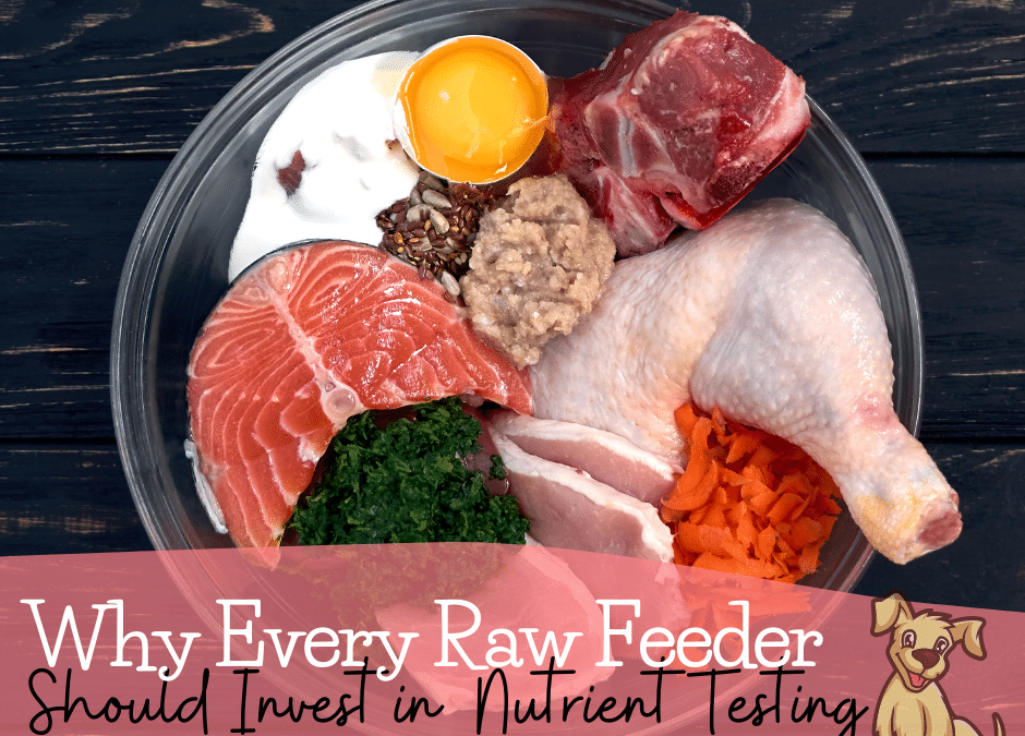 5 Reasons Every Raw Feeder Should Invest in Nutrient Testing