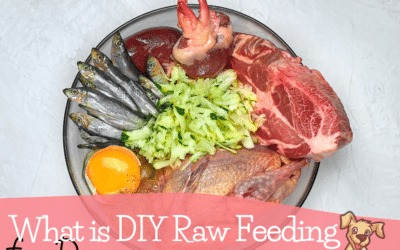 What is DIY Raw Feeding for Dogs?