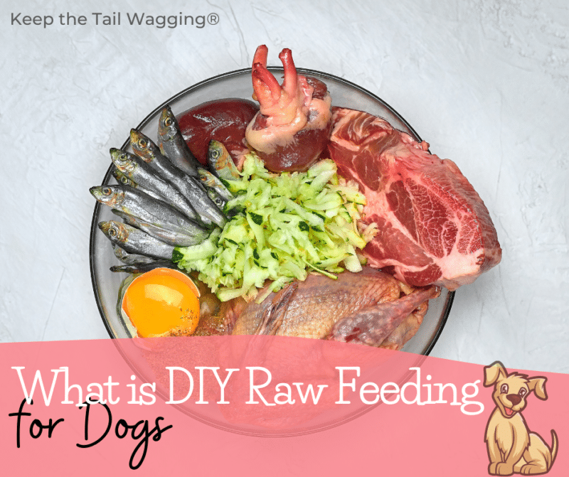 After years of feeding raw, I'm going back to the basics, exploring the WHO WHAT WHY WHERE and HOW of DIY raw feeding for dogs.