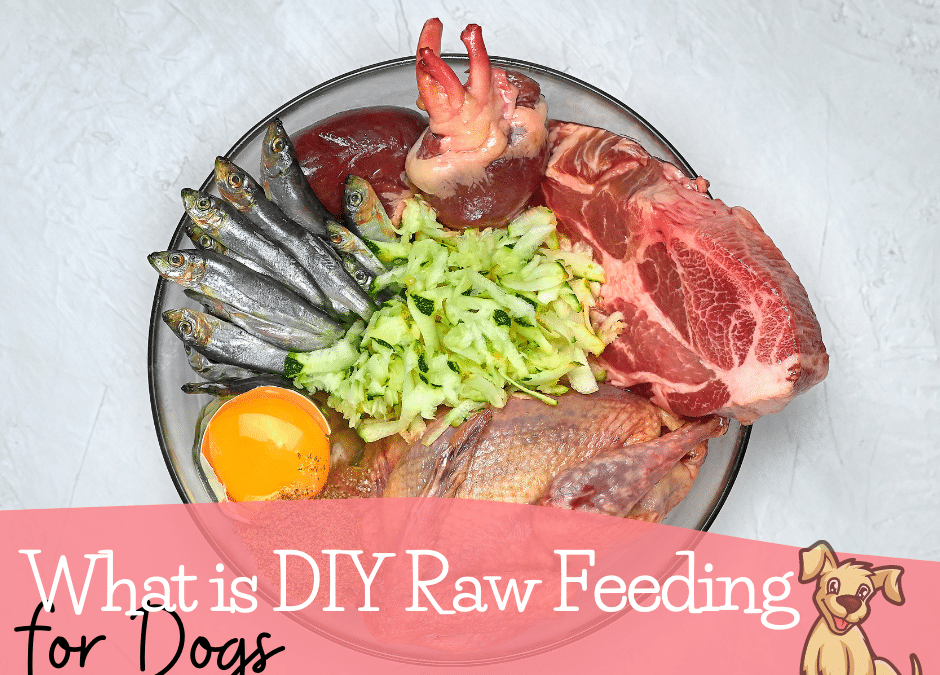 What is DIY Raw Feeding for Dogs?