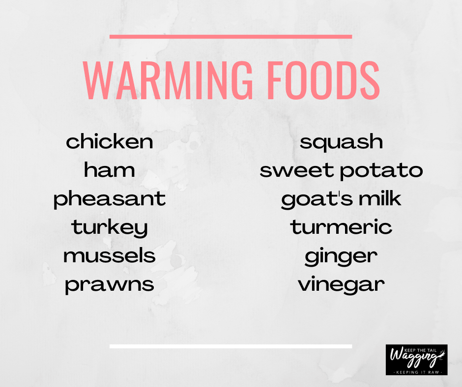 Read This Before Diving Into Warming/Cooling Foods for Your Dog