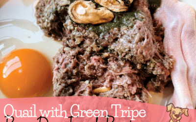 A Quail and Green Tripe Raw Food Recipe My Dogs Love