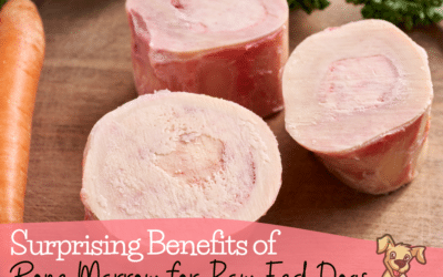 Surprising Benefits of Bone Marrow for Raw Fed Dogs