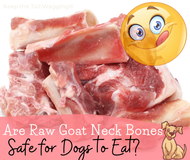 Are Raw Goat Neck Bones Safe for Dogs? Keep the Tail Wagging